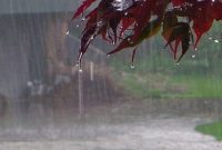 کاهش ۶.۲ درصدی بارش ها در آذربایجان‌شرقی