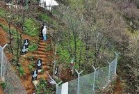 حضور خانواده شهدای خدمت در معراج شهدای خدمت
