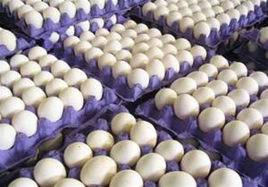 توزیع گسترده برنج، روغن و تخم‏‏‎مرغ با قیمت مصوب
