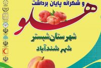 سومین جشنواره برداشت هلو در شهر شندآباد برگزار می‌شود