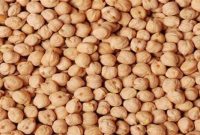 تولید ۶۰ تن بذر اصلاح شده نخود در آذربایجان شرقی