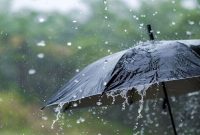 هوای البرز بارانی می شود